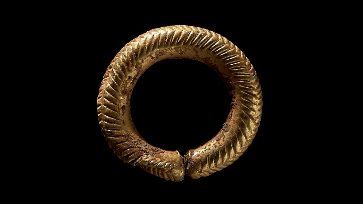 Nutrition Spur Eye catching gold hair ring and Britains oldest wooden comb found in Bronze Age burial