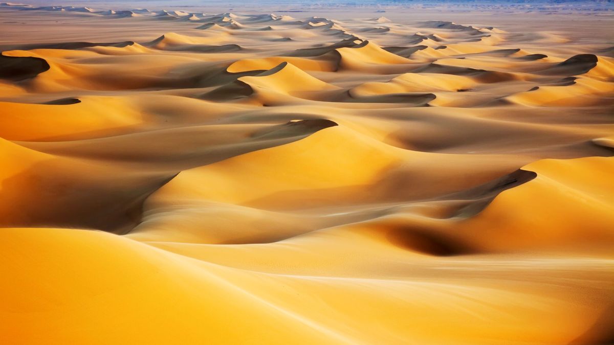Nutrition Spur The stage was now set for the birth and growth of desert dunes How the Sahara turned from a vast forest to the arid landscape we see today